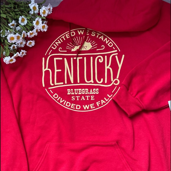 Unisex Hoodie - Kentucky Logo - Picture 2 of 3